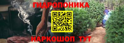 скорость Краснознаменск