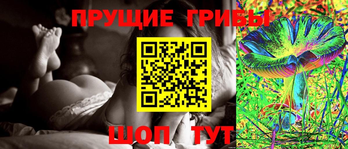 Псилоцибиновые грибы Cubensis Ярцево