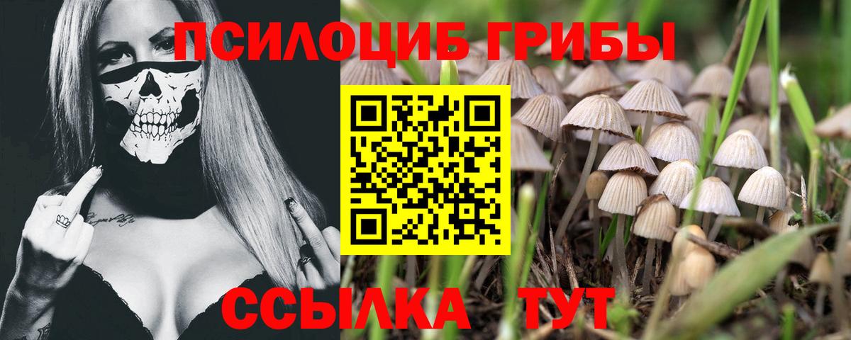 Псилоцибиновые грибы мицелий  Галлюциногенные грибы прущие грибы  Вход с VPN  цены   Ярцево 